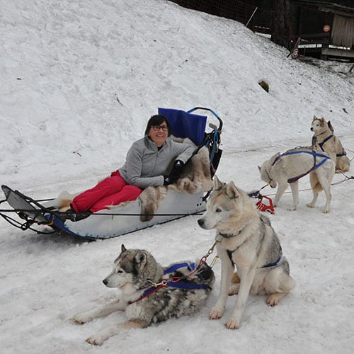 chiens de traineau annecy