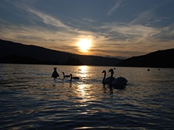 agence evenementiel annecy
